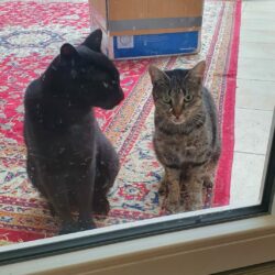 Micky und Xena Micky und Xena