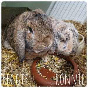 Reggie und Ronnie