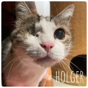 Holger