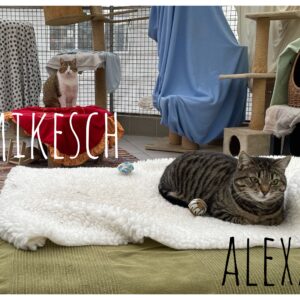 Mikesch und Alexa Mikesch und Alexa