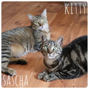 Sascha & Kitty Sascha & Kitty