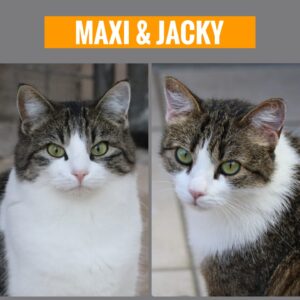Maxi und Jacky